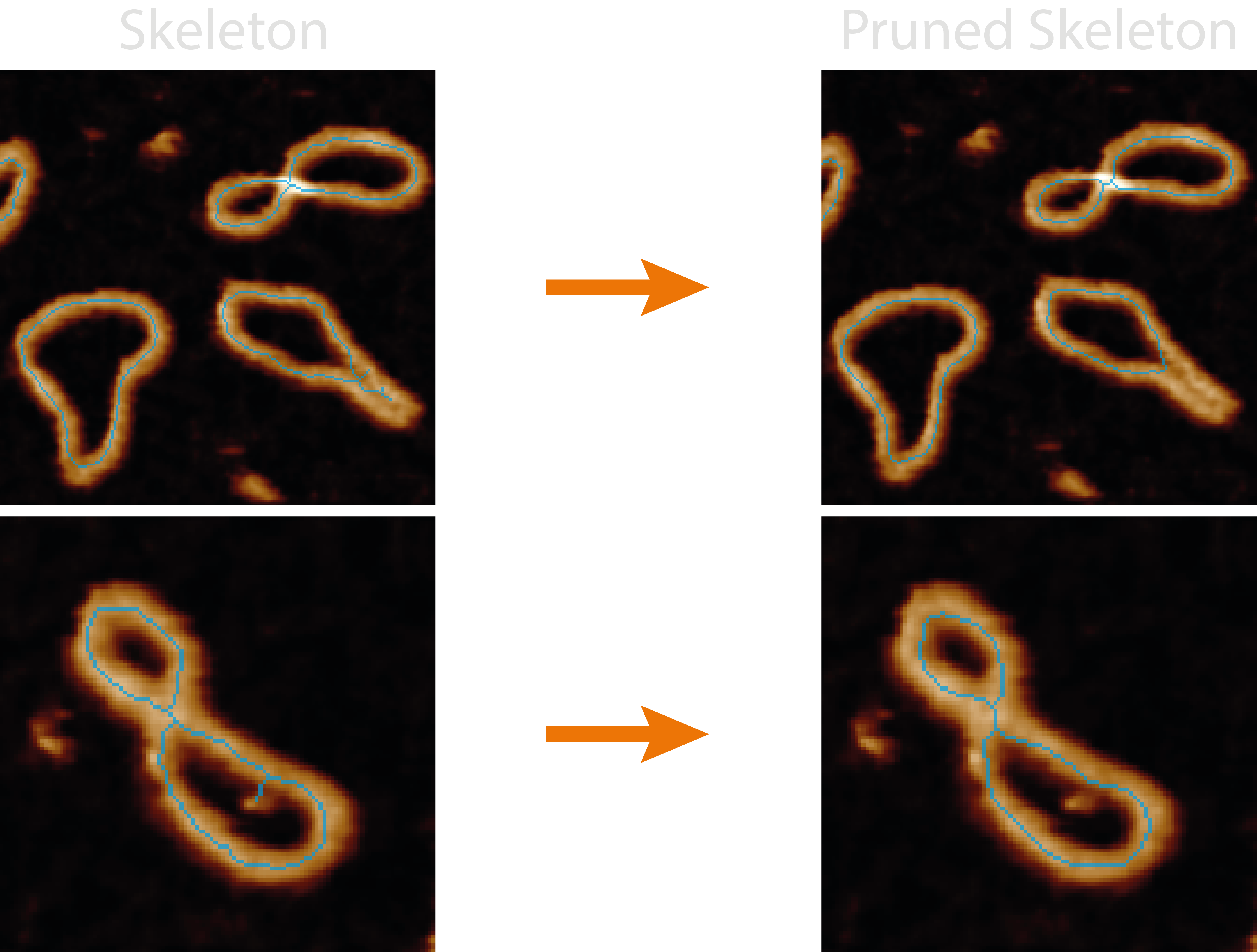 Pre and post pruning of skeletons