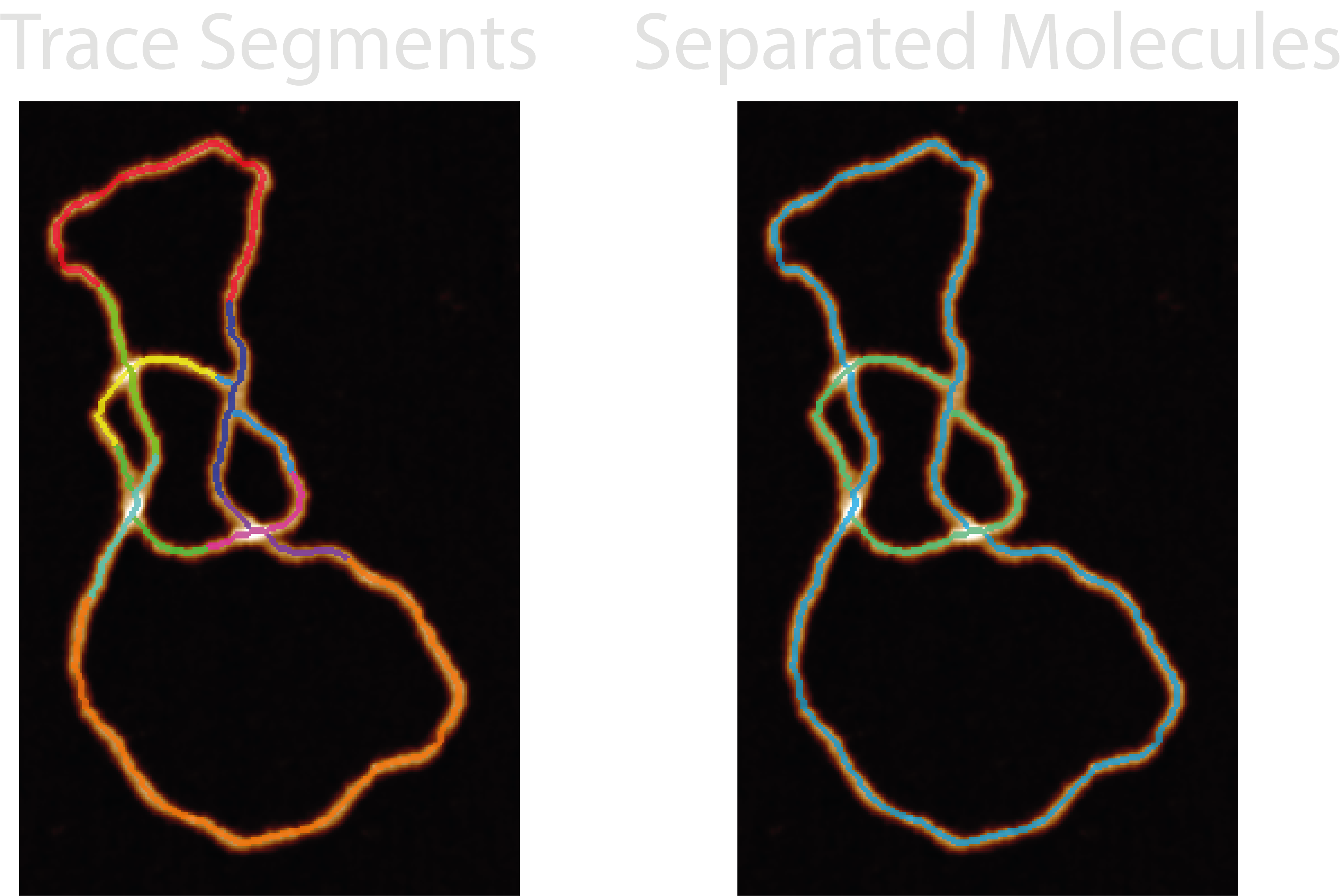Two molecule trace