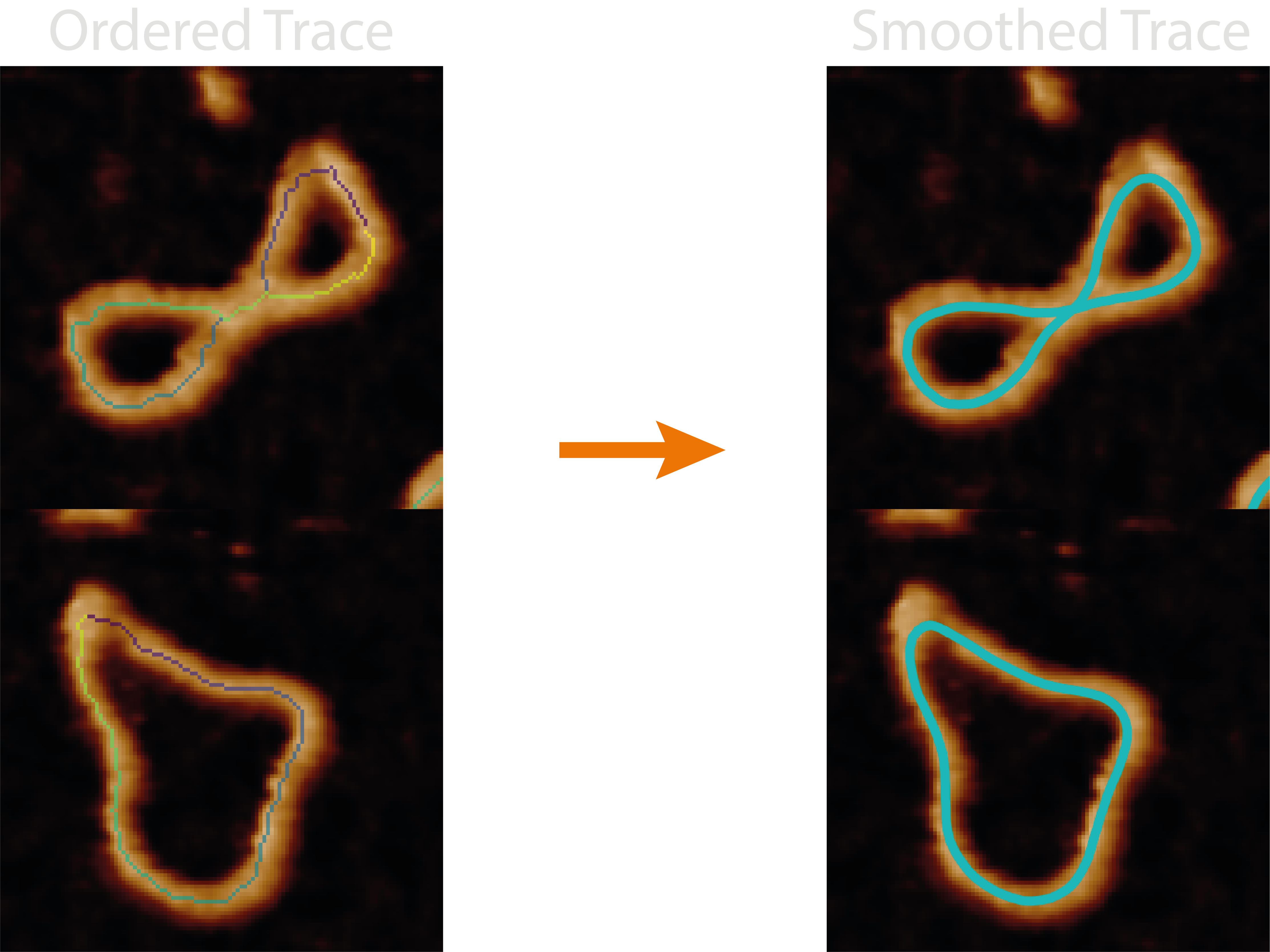 ordered trace to spline
