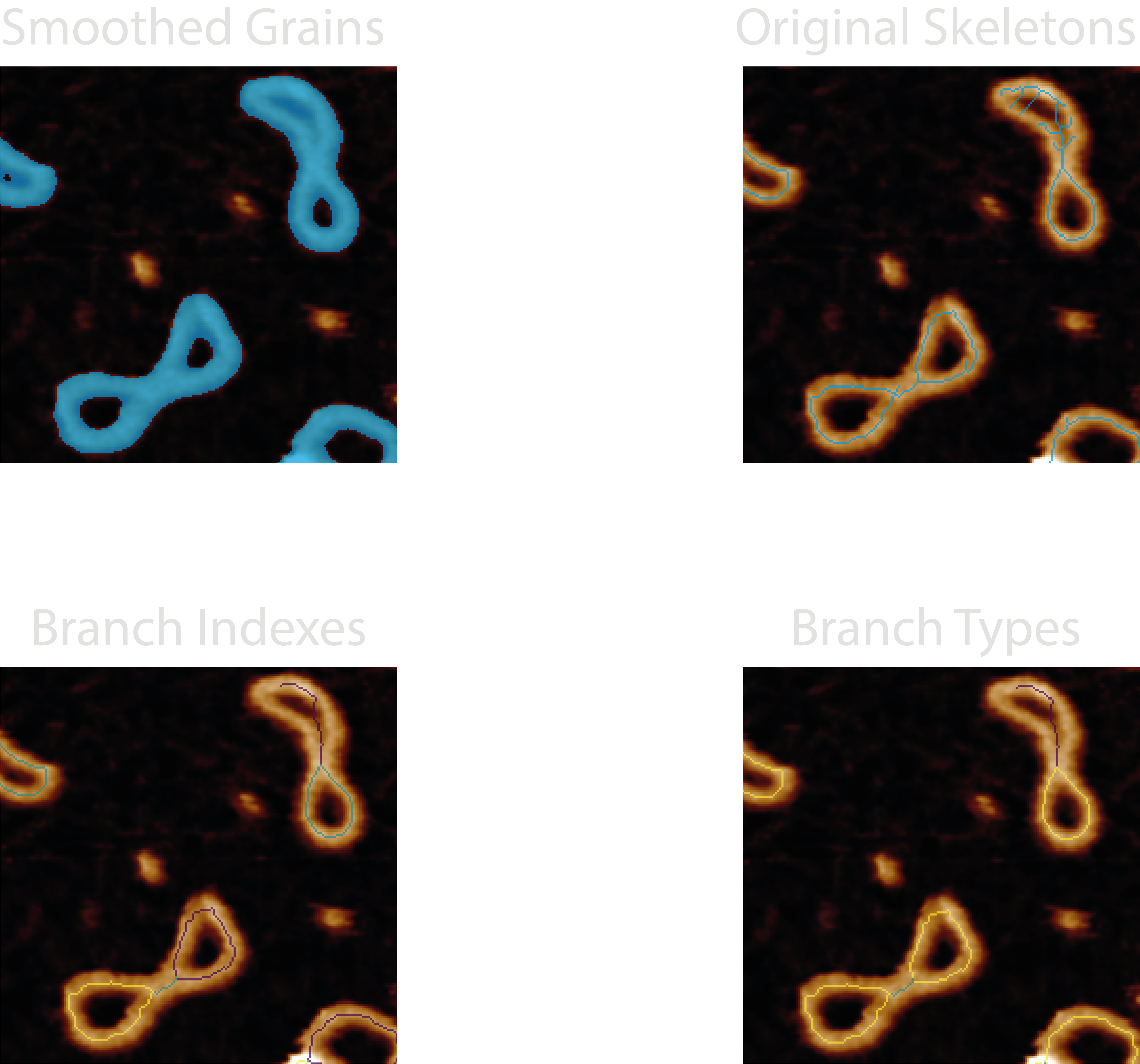 Examples of diagnostic images